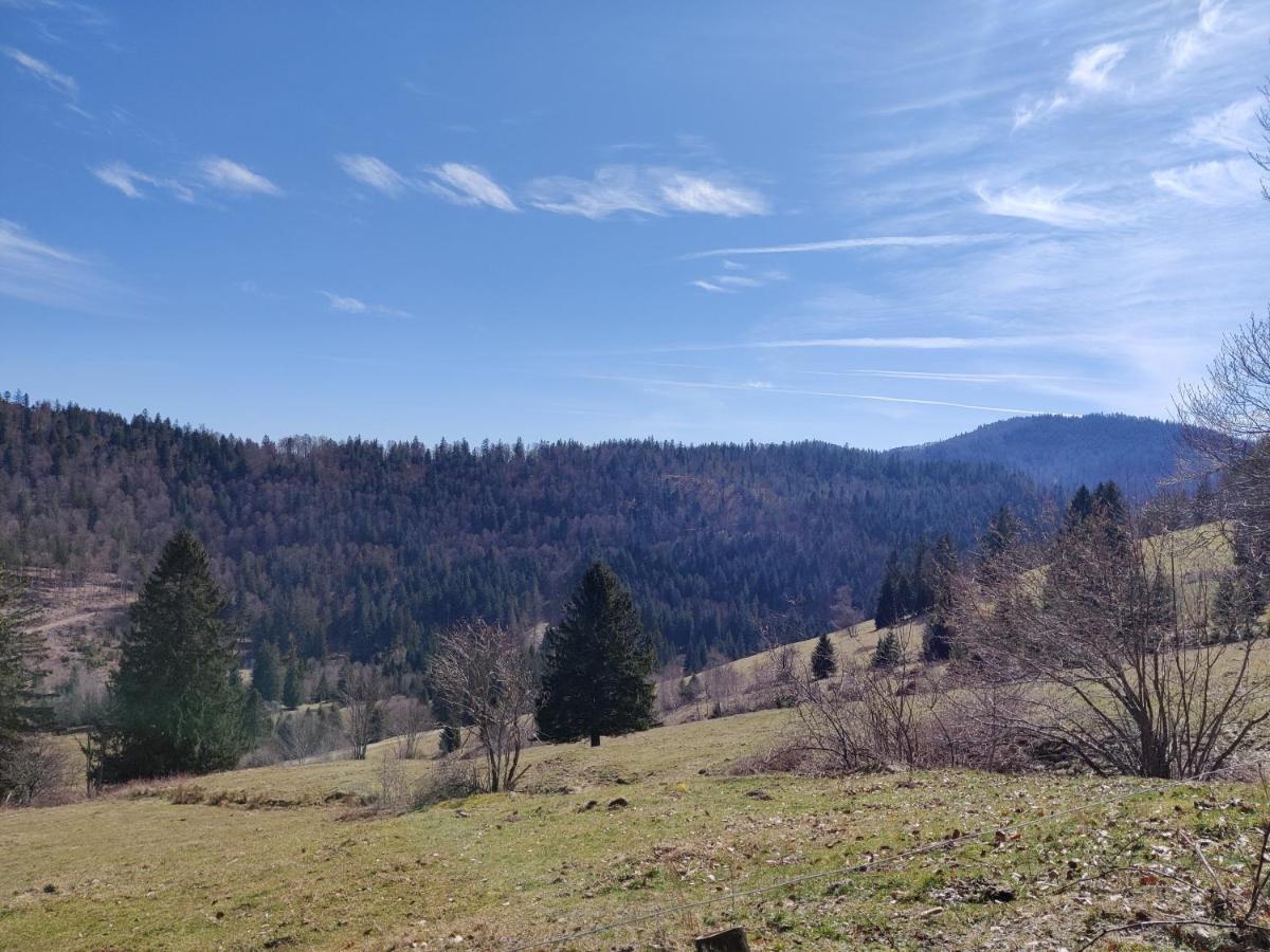 Berggasthaus Prager Boden Todtnau Εξωτερικό φωτογραφία